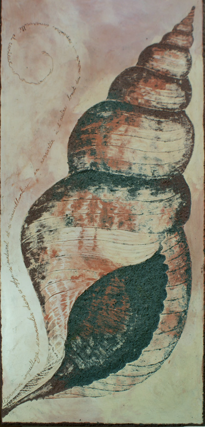 coquillage